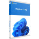 Windows 11 Pro Professional