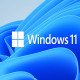 Windows 11 Pro Professional