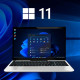 Windows 11 Pro Professional